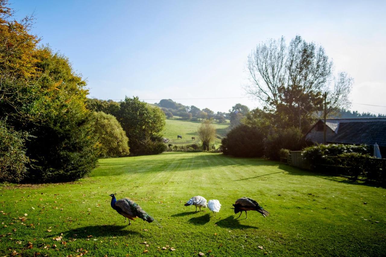 Villa The Garlic Farm Sandown Exterior foto